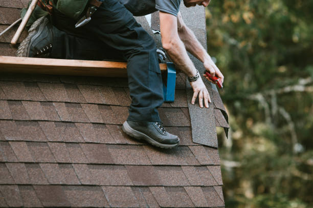 Best Roof Leak Repair  in Alanuk, AK